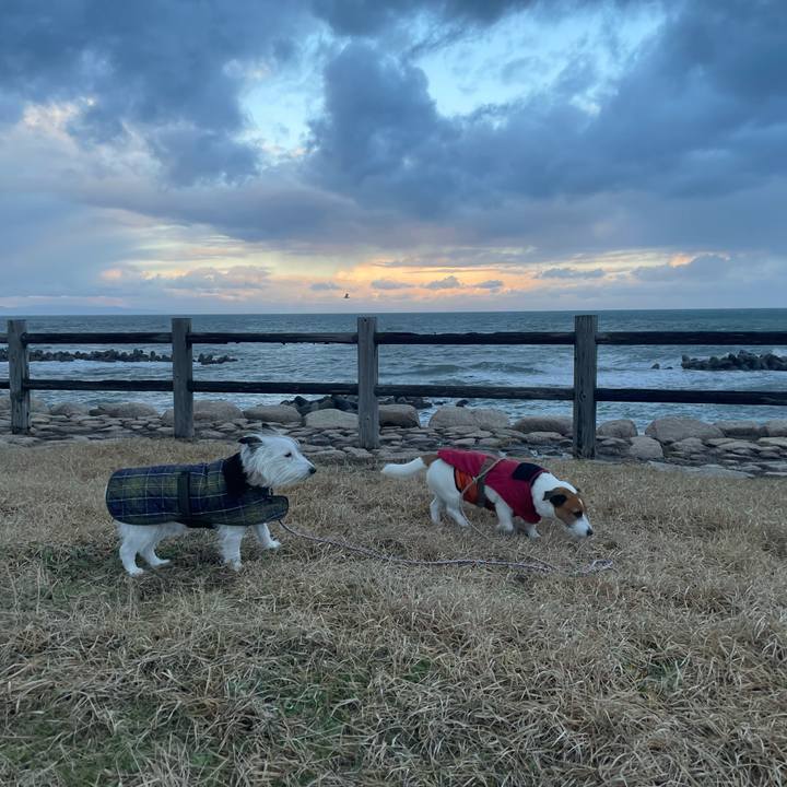 B555cad1 65df 4529 8a37 564afe5a61ea 1704323484211