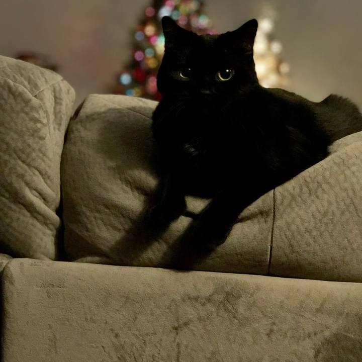 B555ebb3 38eb 43f1 b698 7c8be64ad477 1513957391739