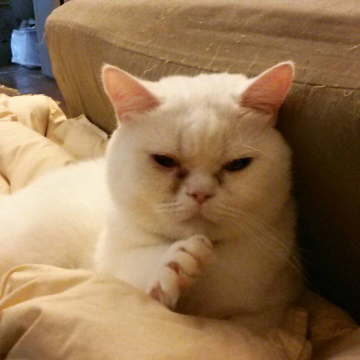 B5564020 300a 4b7c 98ca 4732e7ceaeae 1536978390969