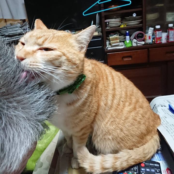 B556499f a147 4102 81ce 6e9036d8a033 1584349814278