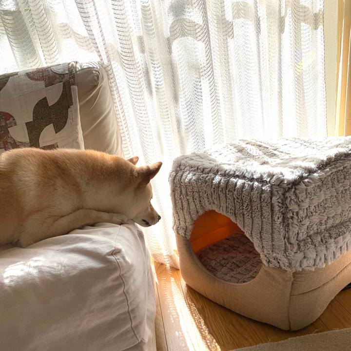 B556507c 7398 43ac a5ac 07c623d35c93 1633394656201