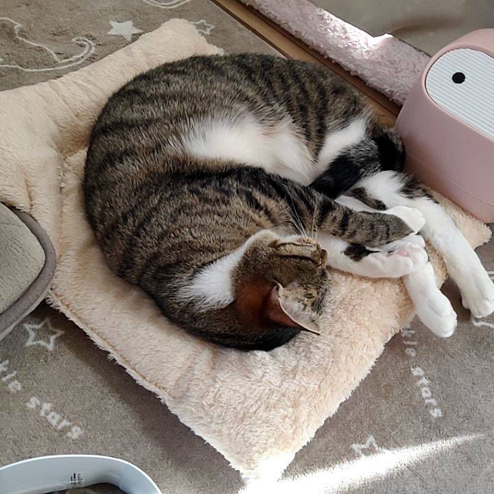 B5565b5f 0f58 4c90 8fe6 fd0558ab5dfb 1675667462080