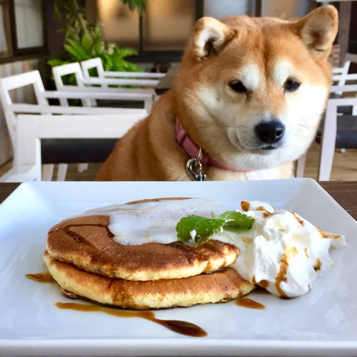 B556bf39 aa31 44f6 a0b9 f2f28627d4dd 1547609698459