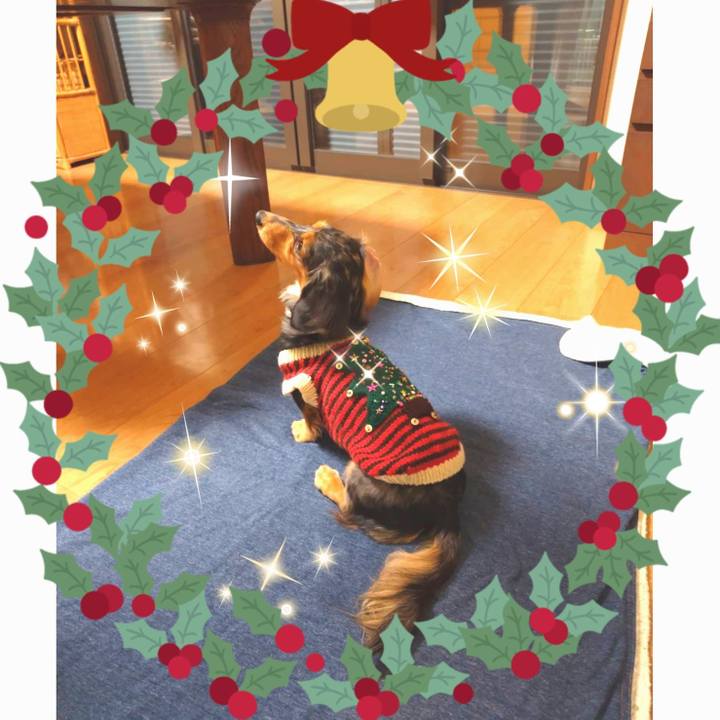 B5570313 c766 47ca 9535 b2d40118a206 1734777674178