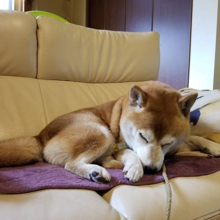 B5570fe7 aa57 4131 b2fc e4d8e08814ac 1573858434928