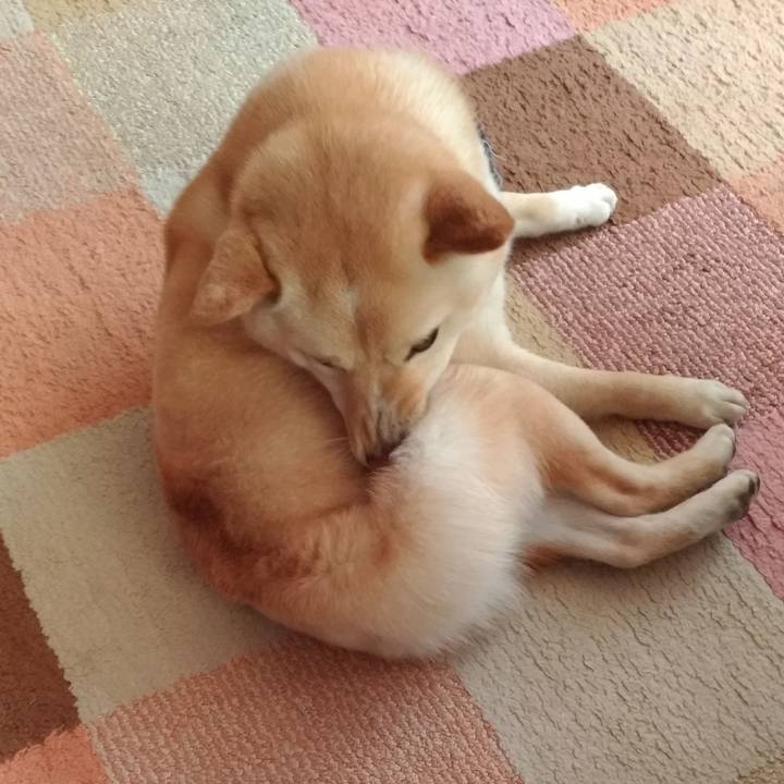 B5572605 e9ef 4e22 acd8 f0350de2e748 1555630434177