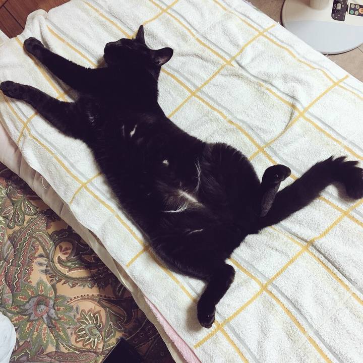 B5579ee3 b61e 4f35 a2f3 42044f214600 1536152755870