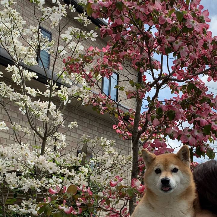 B557d710 44a7 432a 8de3 df9003be7516 1587537924315