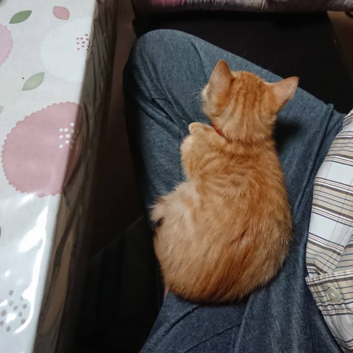 B557dd48 9717 4469 a76b fad8230412a8 1631395348516