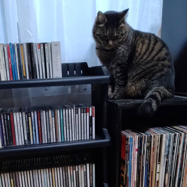 B5582193 16be 41a7 aabc 540cb837f84f 1672471245588