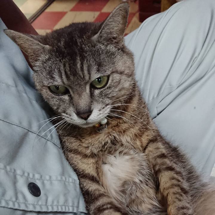 B5582365 2ace 4af3 bee6 07631c89408e 1562634805327