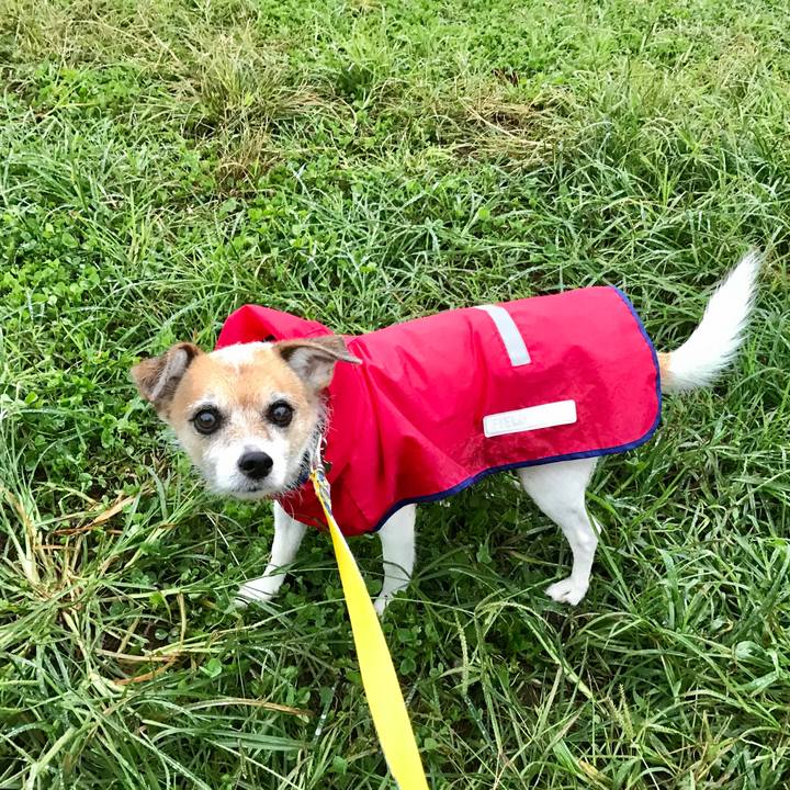 B55833e2 175e 4a4b b95a 975cb6db2859 1602107419328