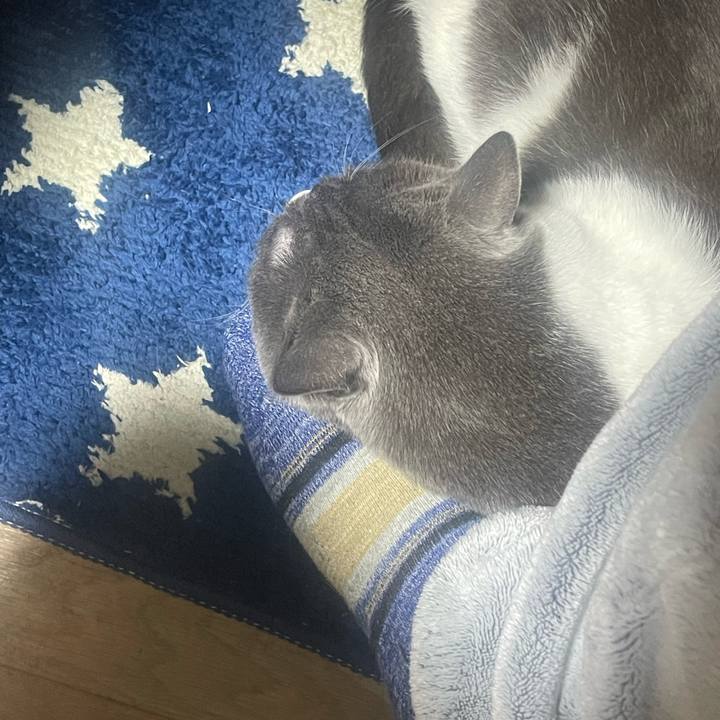 B5585eed 0430 486a 9179 700ef5effd05 1702226328401