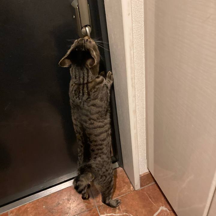 B558a0c3 e19a 4efa a5c9 001fa4cac5db 1618153479975