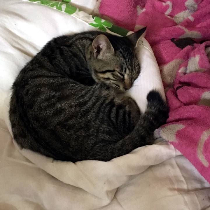 B558a934 3e59 4994 87db 03116e2b93ab 1537492550439