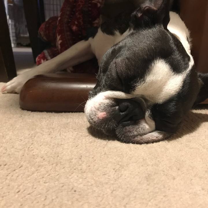 B558b566 f2c1 4a37 ad3f c653da286f0d 1650204077198