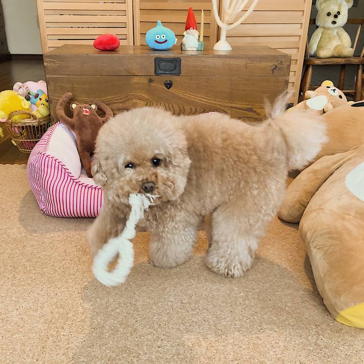 B558c424 36e8 41ef 950e 9f8b18edacf3 1512896599463