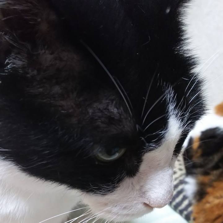 B558cb4b 9985 4267 a9b8 6a66d5810ee1 1563665715915