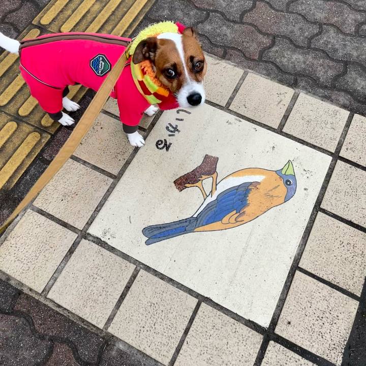 B558e33f 606c 4782 9366 b79b8ee3c6da 1645934115074