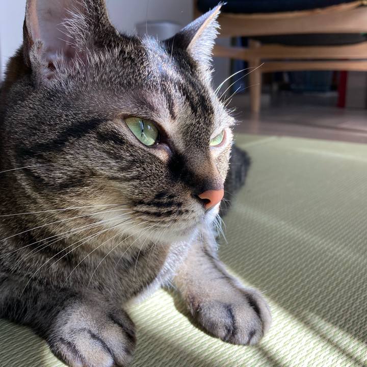 B559165e d2a6 43cb 8996 f98577e75ebb 1682983560522