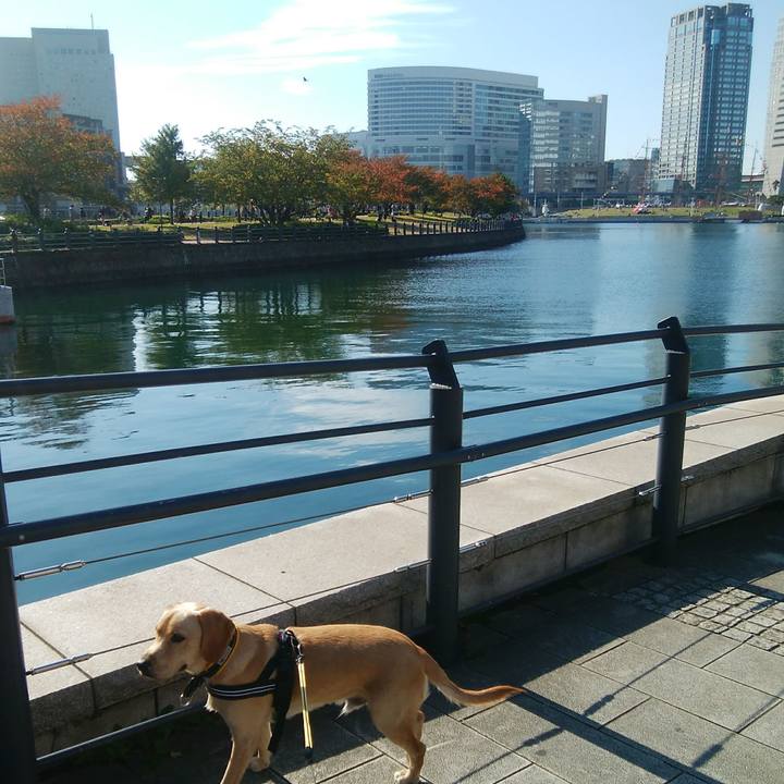 B5592681 4281 44ab 9112 1439c6bb7d7e 1509687744835