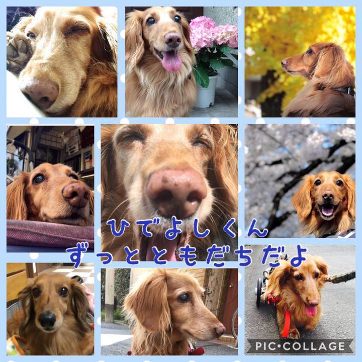 B5592f3f 5c09 42b3 b53a a8a900b2b6cb 1523956873487