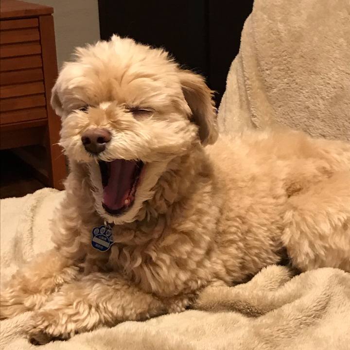 B559608e 425a 4110 9291 67ad1e1d7b13 1555680586949