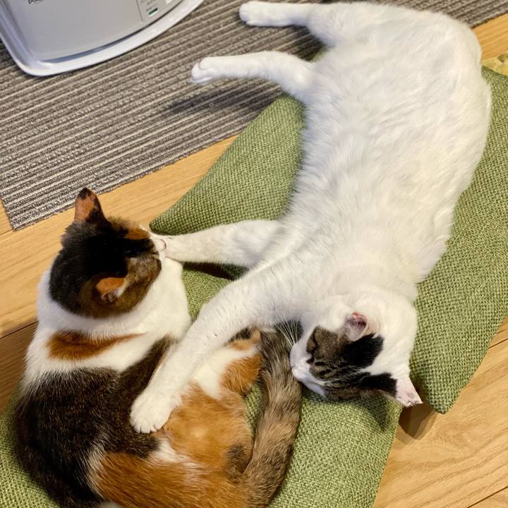 B559b6d7 5c5d 48c3 ad1b 0a9336e5aeaf 1672657189840