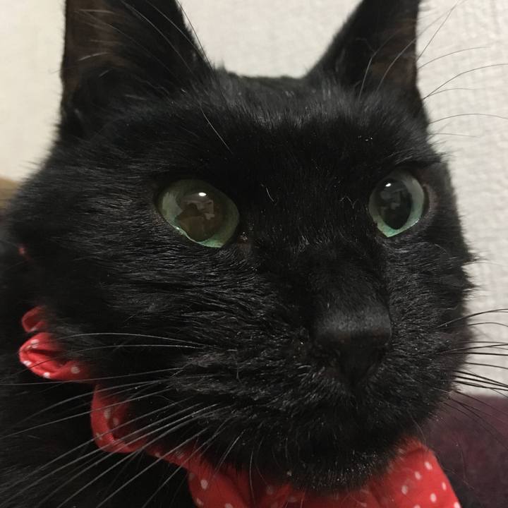 B559bbcc 2b99 49b8 b3ca ff228b01573b 1634989646381