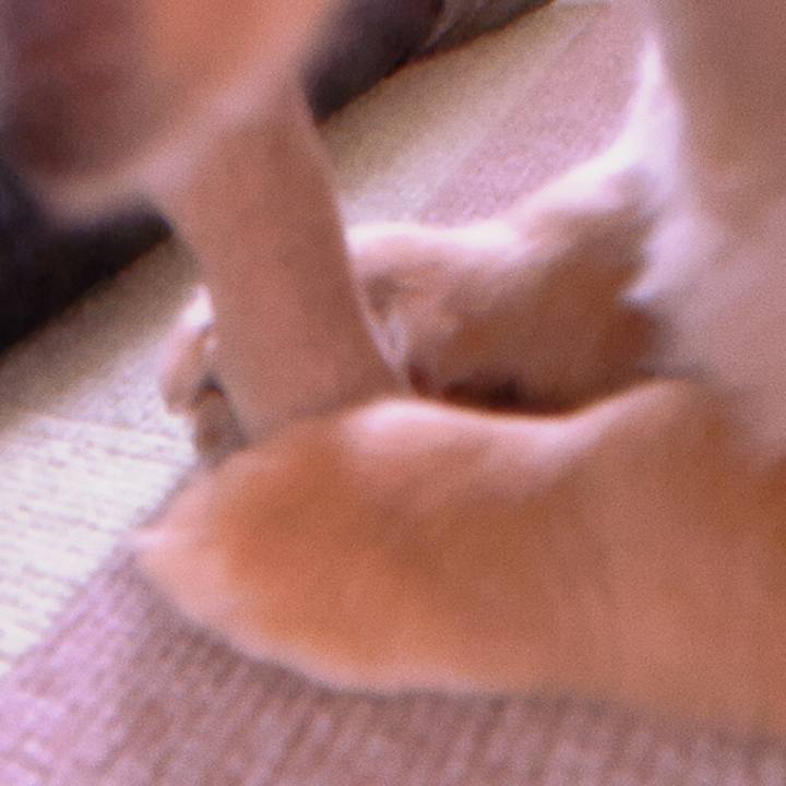 B559d7ee 1649 43d3 90be 64416e28db78 1684565073187