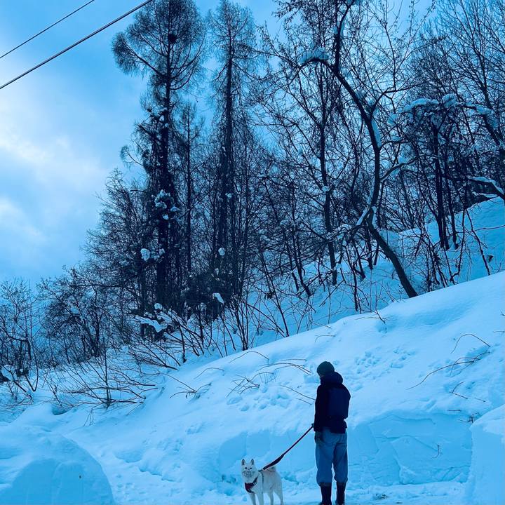 B559dd0c 2228 45ef a8da 617d1da8c038 1769726580971