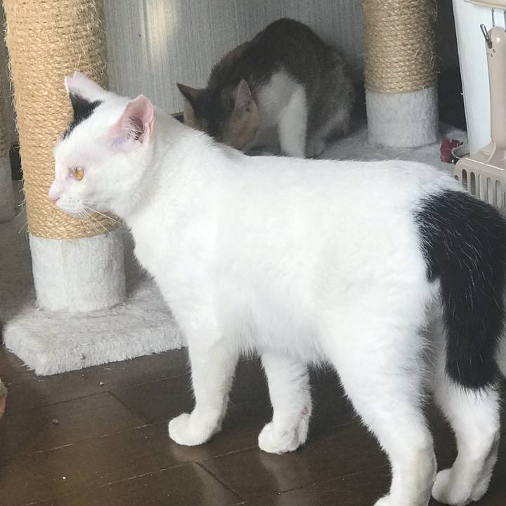 B55a0b1b f19d 439d 8caf 5e2fb833fbe4 1550750646593