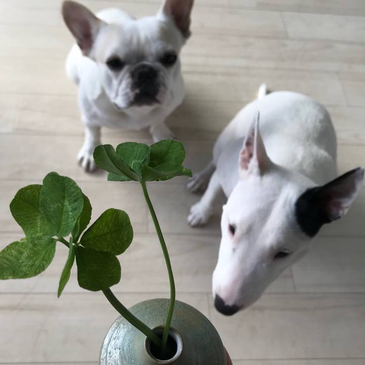 B55a3f16 ebdb 4e07 8a9e 59eb8d78a3b2 1510984376454