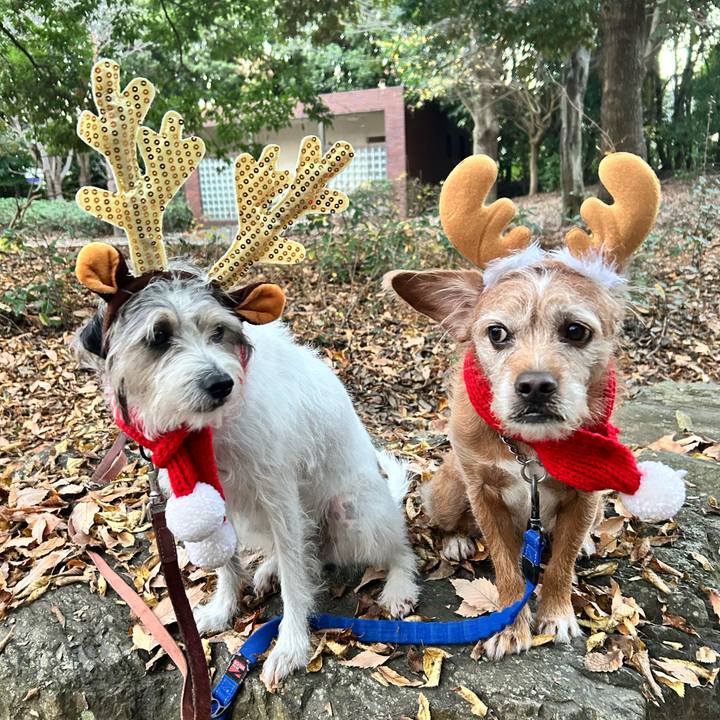 B55a5c92 182b 47b3 b0af 39570e712ab0 1734996195229