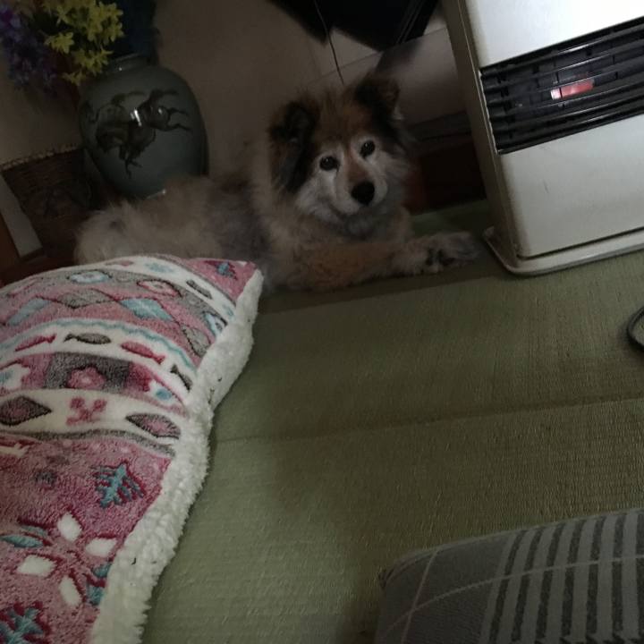 B55a5d38 8d27 416c b9b6 7fc429e69e06 1566342425709