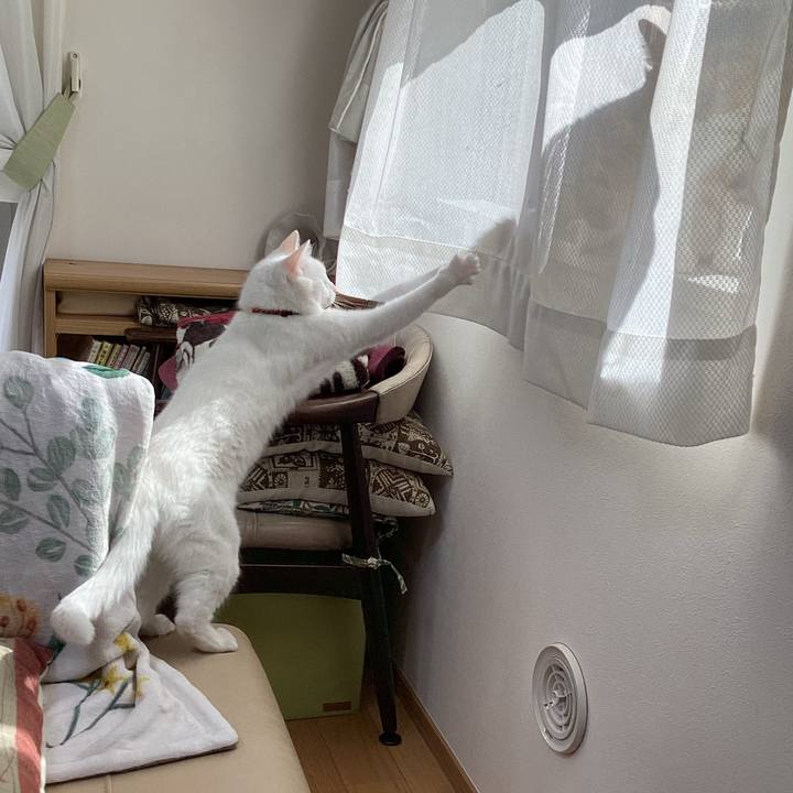 B55a864e 5f74 4f3f 91cc 649ea76963bc 1677662365188