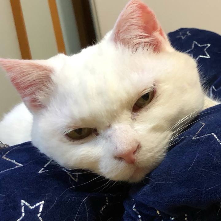 B55ad9fc c95c 4540 bc3e 94747e58fb31 1553949005965