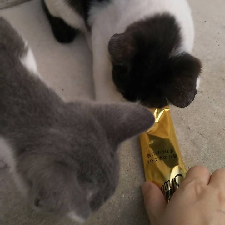 B55b582d 5d68 4136 b5e0 4a5297f47cf3 1532170571646