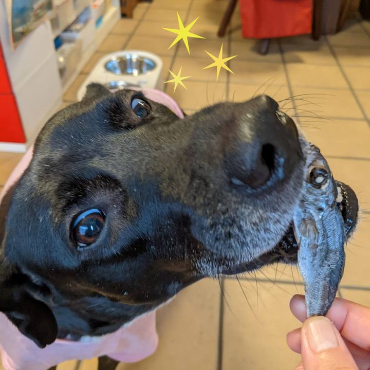 B55b79e6 45de 4d77 860c 1e74db77b063 1641605137443