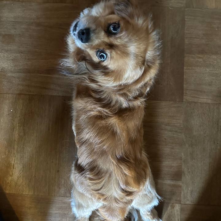 B55b9a66 94c1 4aef 91f9 1246722fa3bd 1691709569336