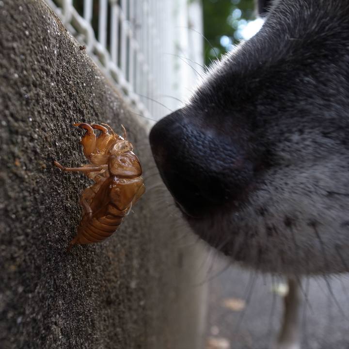 B55bc0f8 f034 4804 adfd 59ed4e3a924e 1588547884396