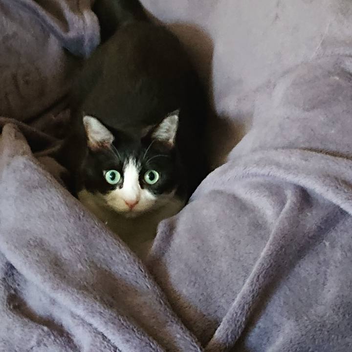 B55bd66f 7188 4b28 9ecb 0241c81a26d9 1601559365107