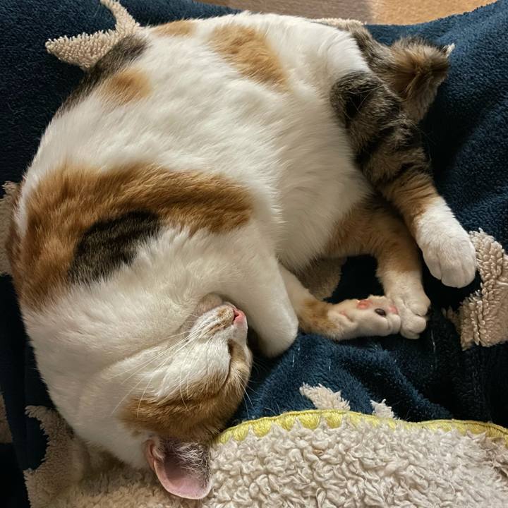 B55bde36 3c83 492e 915d 4f8ad7588011 1618663431171