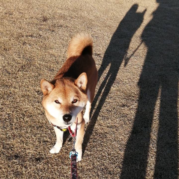 B55bf895 d1f5 434e 996c c81928819541 1580524210888