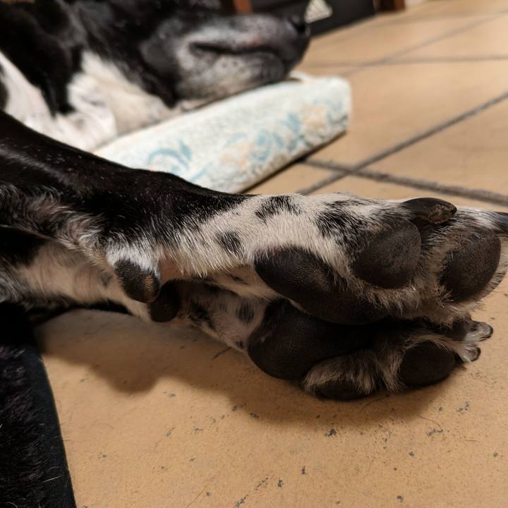 B55c03f5 5151 4de5 b6b6 9e2f4f6e860a 1710585994405