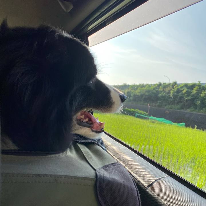 B55c0e32 eaf9 4c19 b22c af0ff86a3d5f 1690495504753