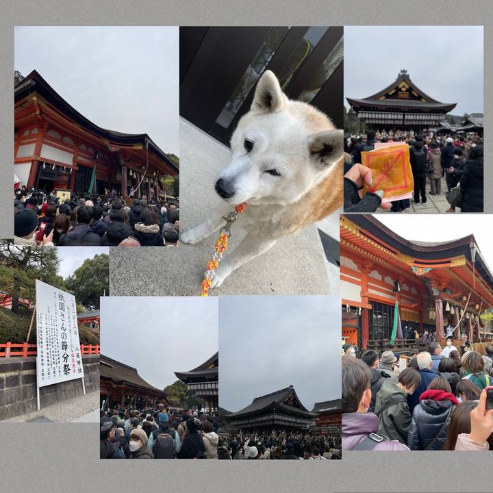 B55c2a77 1326 4bfb a9ea 0799f958159d 1675416505824