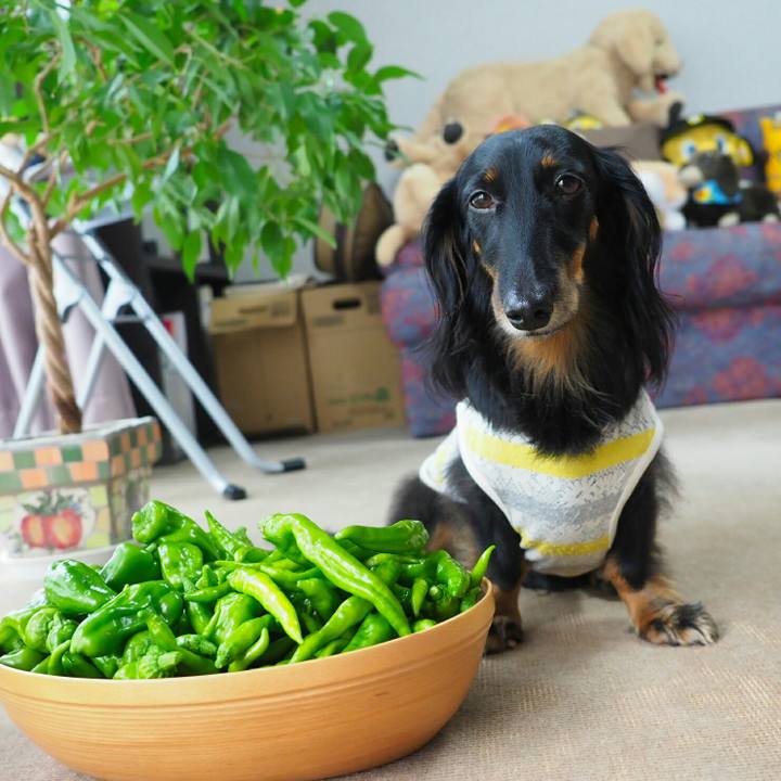 B55c69c9 b9f8 4e85 ba64 2d3322f9d7ee 1566438259994