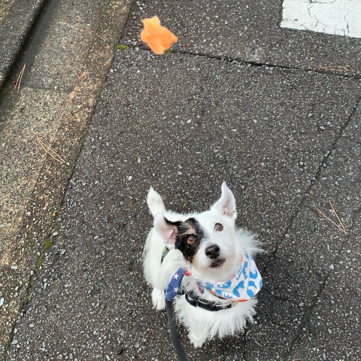 B55c8505 b1e2 44d3 84d6 dcad290503b8 1754089439522