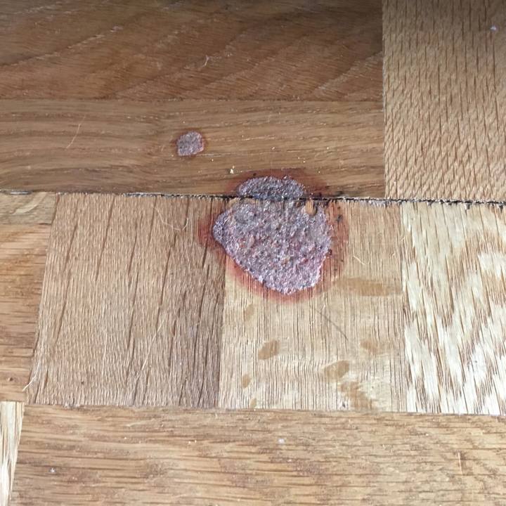 B55cc75d c5c2 4355 8e4e 63d694ac4991 1551956925789